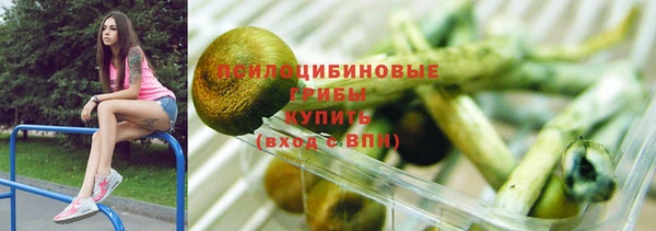 мдпв Навашино