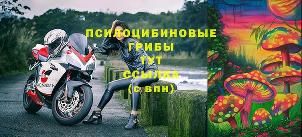мдпв Навашино
