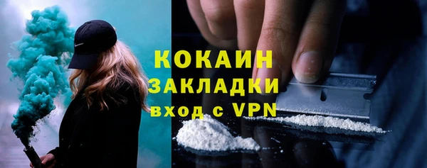 индика Мурманск