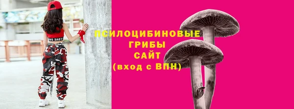 mdpv Надым