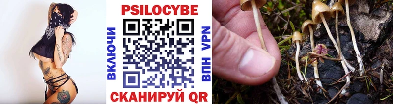 Псилоцибиновые грибы Psilocybine cubensis  Сухиничи 
